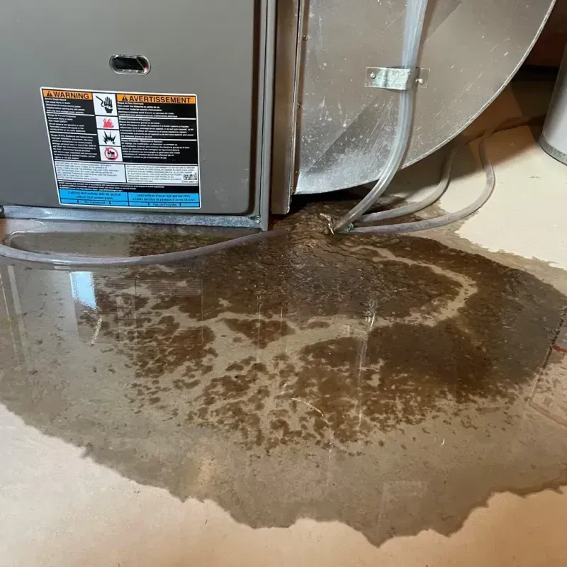 Appliance Leak Cleanup in Somerville, NJ